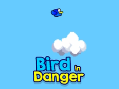 Lalao Bird in Danger
