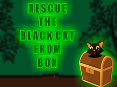 Lalao Rescue the Black Cat from Box