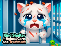 Lalao Kind Shelter - Animal Care and Treatment