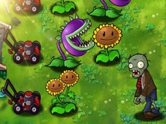 Lalao Plants vs Zombies Limited Edition