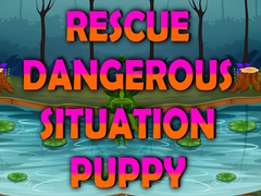 Lalao Rescue Dangerous Situation Puppy