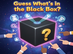 Lalao Guess What's in the Black Box?