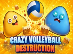 Lalao Crazy Volleyball Destruction