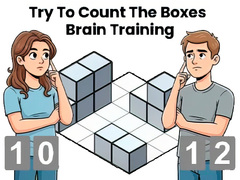 Lalao Try To Count The Boxes Brain Training