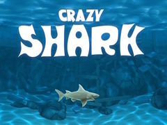 Lalao Crazy Shark