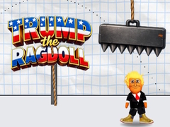 Lalao Trump the Ragdoll