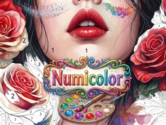 Lalao Numicolor