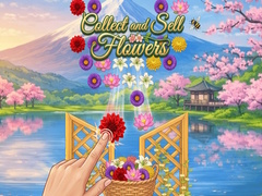 Lalao Collect and Sell Flowers