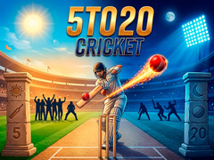 Lalao 5TO20 Cricket