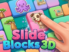 Lalao Slide Blocks 3D