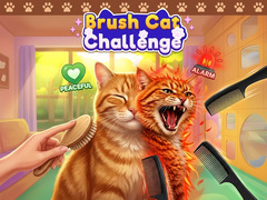 Lalao Brush Cat Challenge 