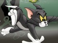 Lalao Tom And Jerry Chase In Marsh