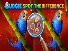 Lalao Budgie Spot the Difference
