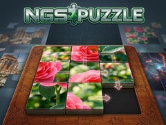 Lalao NGS Puzzle