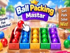 Lalao Packing Master Puzzle