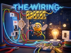 Lalao The Wiring Bee