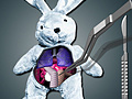 Lalao Save The Bunny