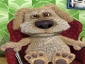 Lalao Talking Ben the Dog