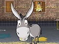 Lalao Donkey Gafoor
