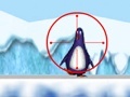 Lalao Shooting at the Zoo penguin