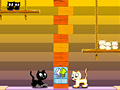 Lalao Swing Cat