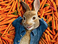 Lalao Peter Rabbit