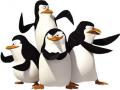 Penguins of Madagascar lalao 